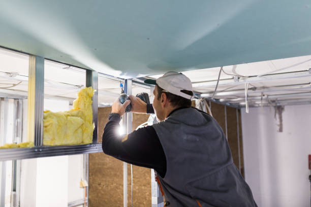 Best Types of Insulation in Plano, KY