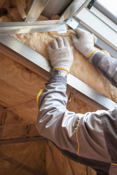 Best Residential Insulation in Plano, KY