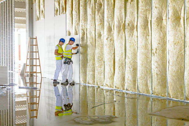 Best Insulation Installation Services in Plano, KY